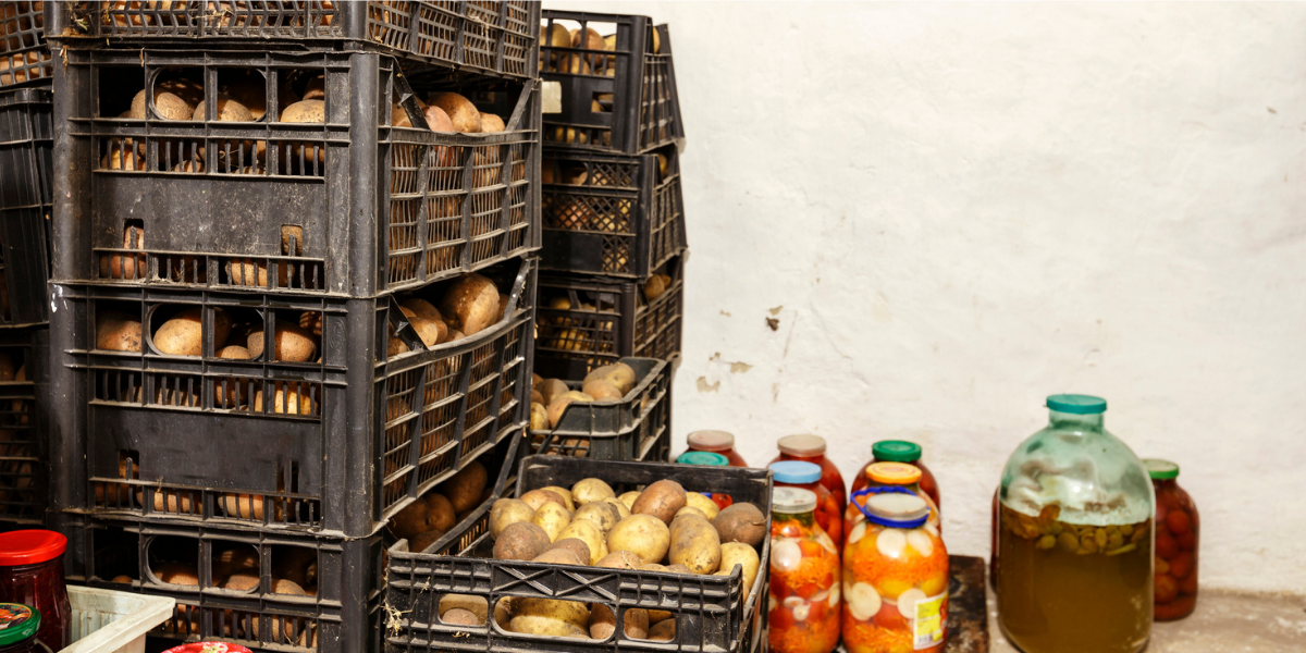Stored Vegetables